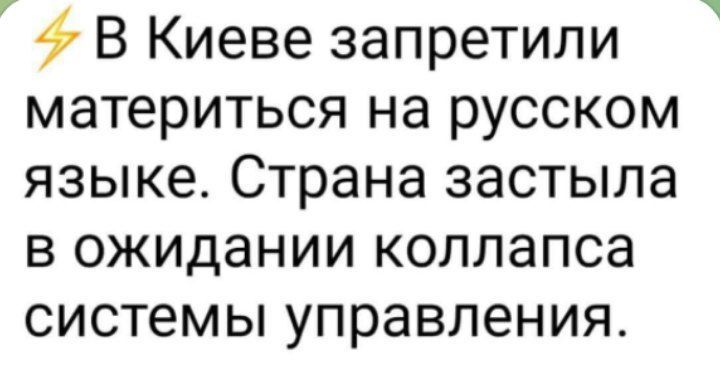 В Киеве запретили материться на русском языке Страна застыла в ожидании коллапса системы управления