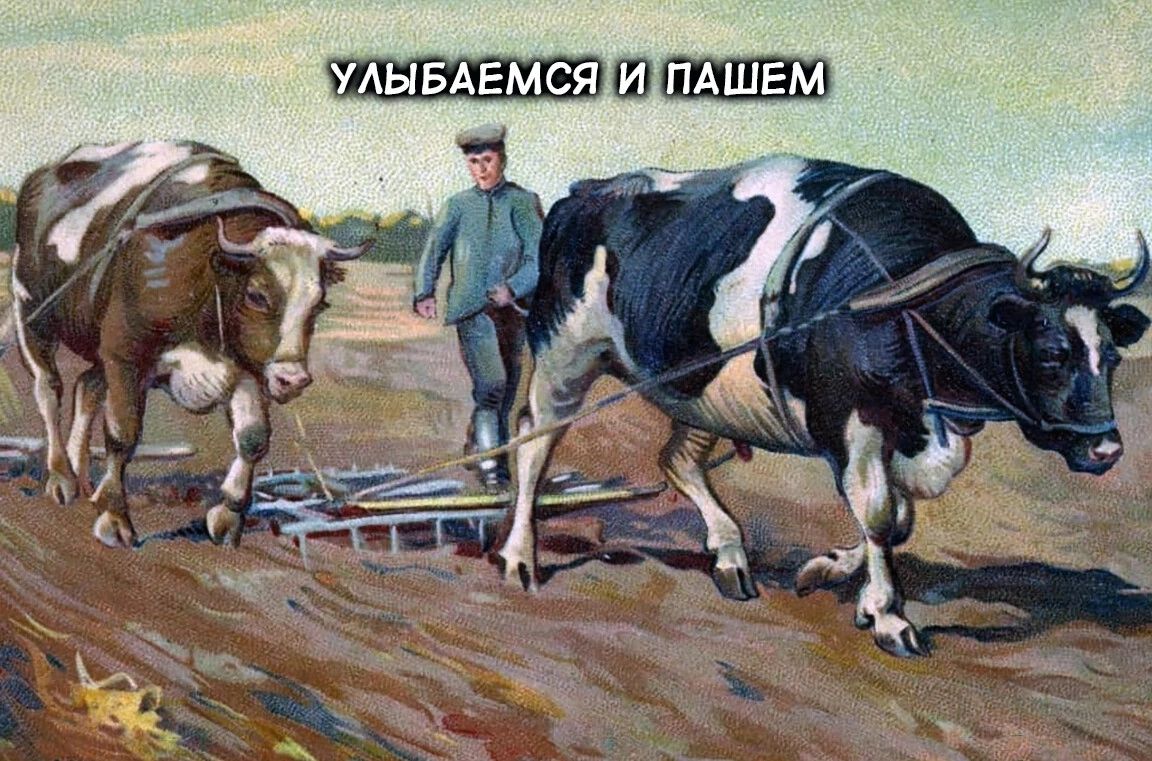 ШШЦДЁШ ЫБАЕМСЯ