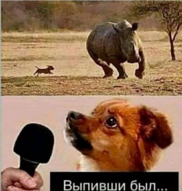 Выпивши был