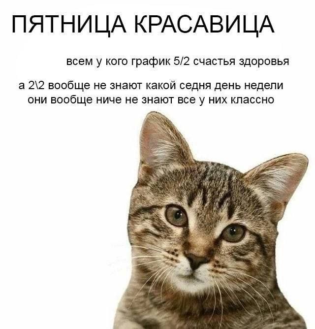 ПЯТНИЦА КРАСАВИЦА всем у кого график 52 счастья здоровья а 2 вообще не знают какой седня день недели ОНИ вообще ИИЧВ не ЗНЭЮТ все у НИХ КЛЗССНО