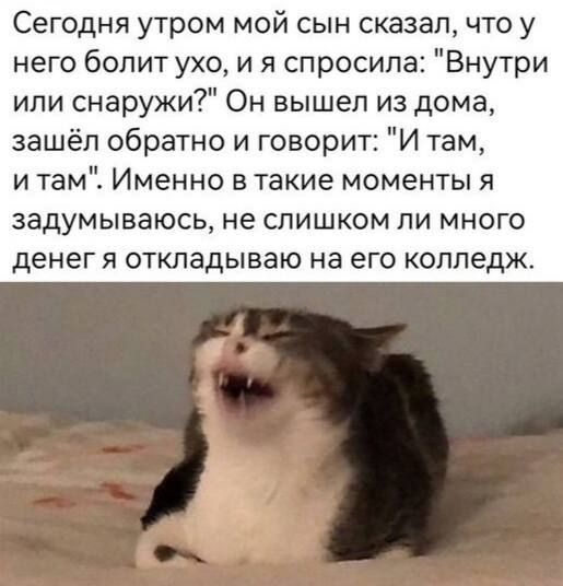 Сегодня утром мой сын сказал что у него бопит ухо и я спросила Внутри или снаружи Он вышел из дома зашёл обратно и говорит И там и там Именно в такие моменты я задумываюсь не слишком ли много денег я откладываю на его колледж
