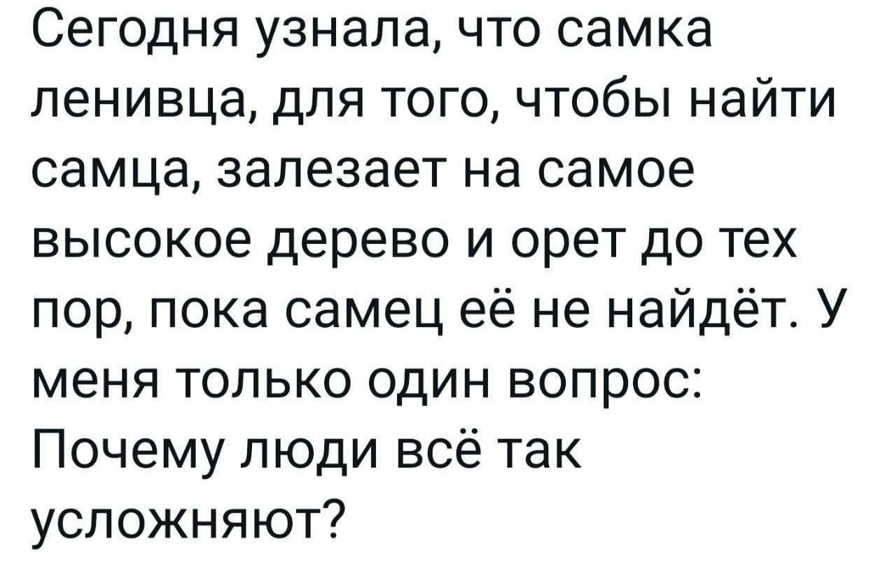 Сегодня узнала что самка ленивца для того чтобы найти самца залезает на самое высокое дерево и орет до тех пор пока самец её не найдёт У меня только один вопрос Почему люди всё так усложняют