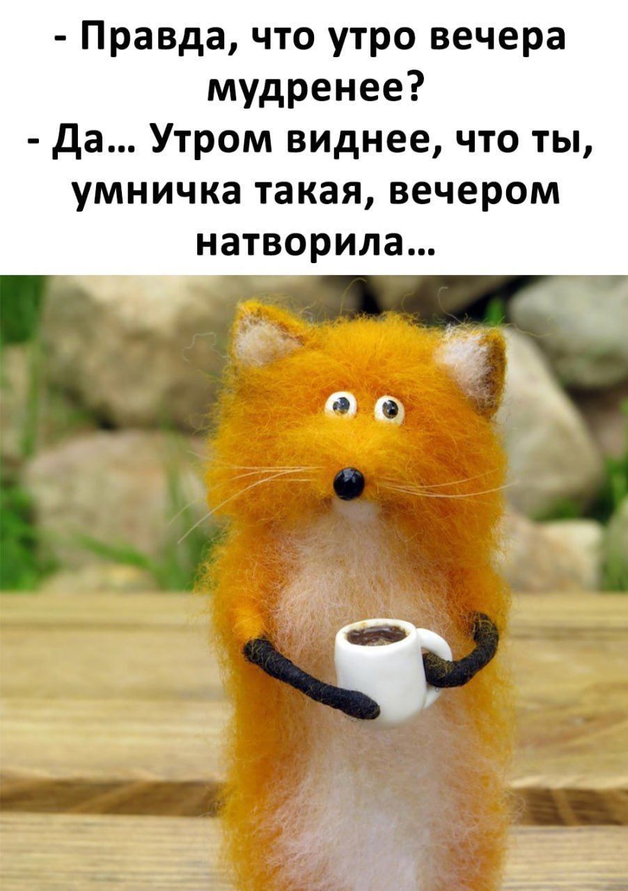 Правда что утро вечера мудренее да Утром виднее что ты умничка такая вечером натворила