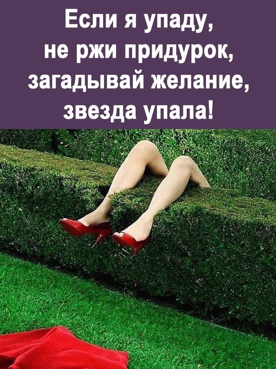 Если я упаду не ржи придурок загадывай желание звезда упала