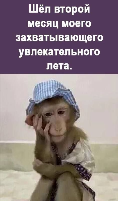 Шёл второй месяц моего захватывающего увлекательного пета