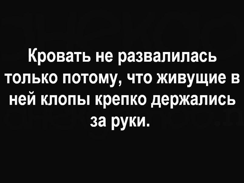 Кровать не развалилась только потому что живущие в ней клопы крепко держались за руки