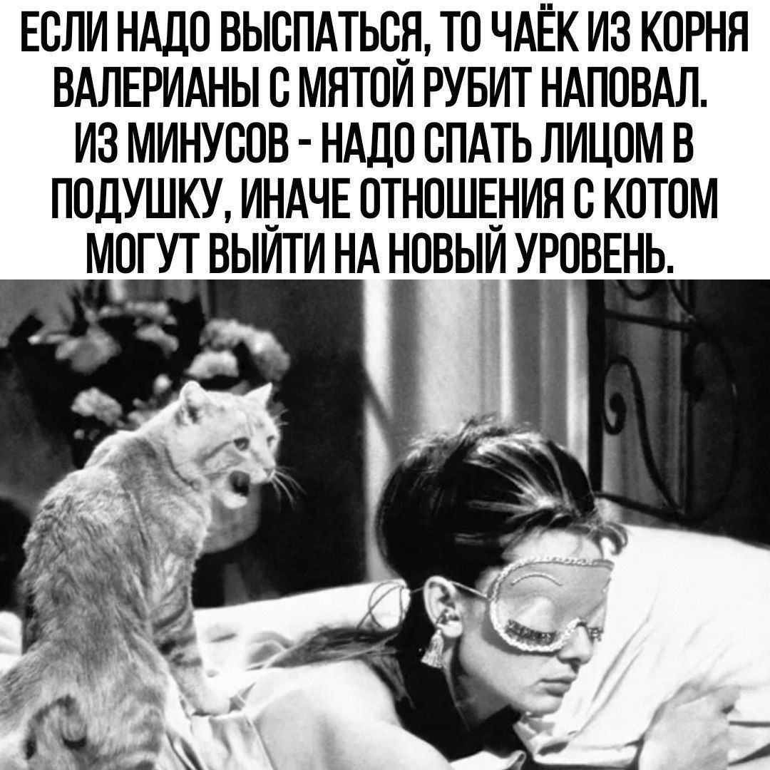 ЕОЛИ НАДО ВЫОПАТЬОП ТО ЧАЁК ИЗ КОРНН ВАЛЕРИАНЫ О МНТОИ РУБИТ НАПОВАЛ ИЗ МИНУООВ НАДО ОПАТЬ ЛИЦОМ В ПОДУШКУ ИНАЧЕ ОТНОШЕНИЯ О КОТОМ МОГУТ ВЫЙТИ НА НОВЫЙ УРОВЕНЬ