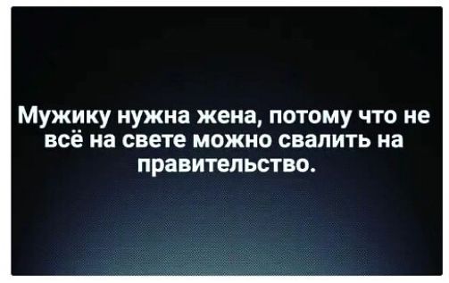 Мужику нужна жена потому что не всё на свете можно свалить на правительство