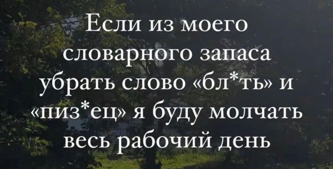 Если из моего словарного запаса убрать слово блть и пизец я буду молчать весь рабочий день