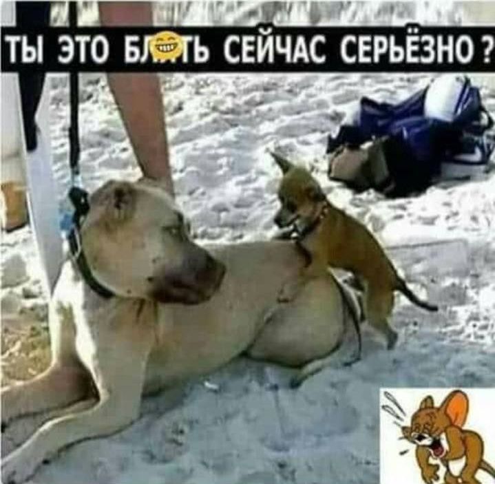 ты это мать СЕЙЧАС СЕРЬЁЗНО