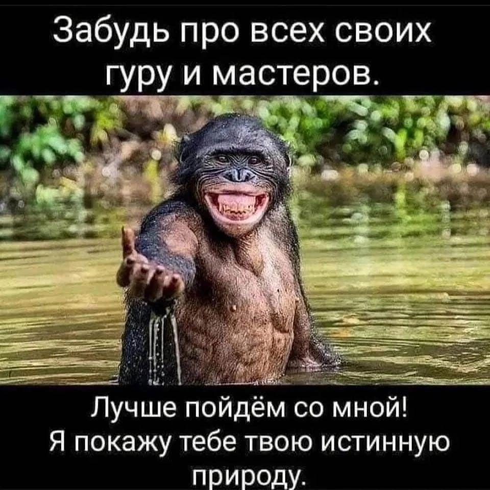 Забудь про всех своих гуру и мастеров Лучше пойдём со мной я покажу тебе твою истинную природу
