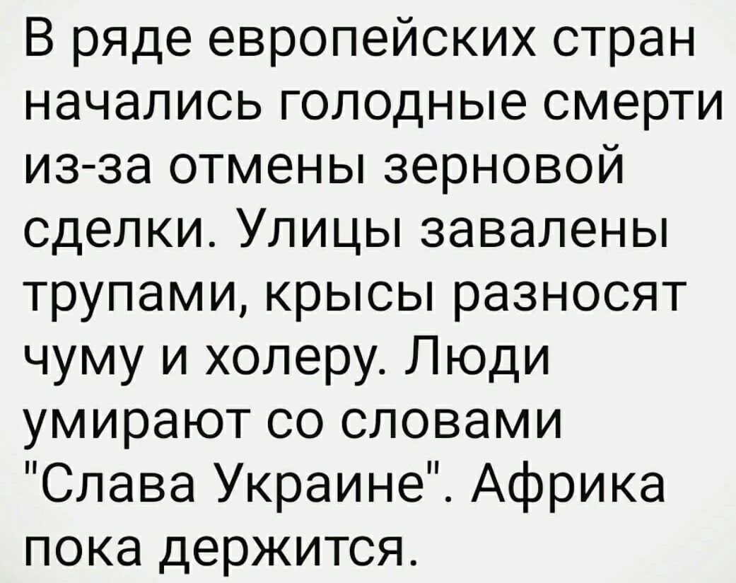 В ряде европейских стран начались голодные смерти из за отмены зерновой сделки Улицы завалены трупами крысы разносят чуму и холеру Люди умирают со словами Слава Украине Африка пока держится