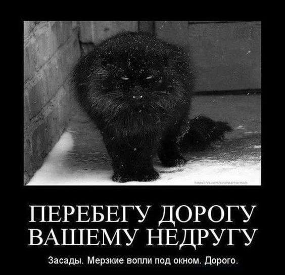 ПЕРЕБЕГУ ДОРОГУ ВАШЕМУ НЕДРУГУ засады Мерше впппи под окном дорого