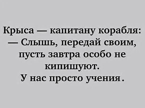 Крыса капитану корабля Слышь передай своим пусть завтра особо не кипишуют У нас просто учения