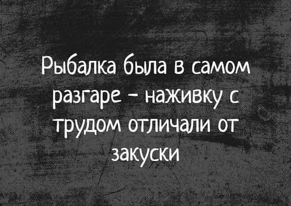 Рыбалка была в самом разгаре наживку с трудом отличали от закуски