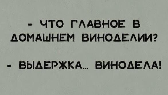 ЧТО ГААВНОЕ В ДОМАШНЕМ ВИНОАЕАИИ ВЫАЕРЖКА БИНОАЕАА