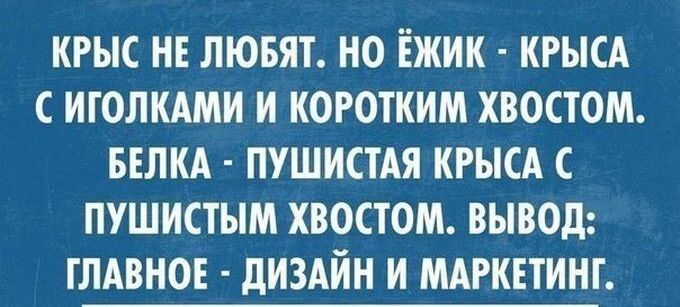 КРЫС НЕ ЛЮБЯТ НО ЁЖИК КРЫСА С ИГОЛКАМИ И КОРОТКИМ ХВОСТОМ БЕЛКА ПУШИСТАЯ КРЫСА С ПУШИСТЫМ ХВОСТОМ ВЫВОД ГЛАВНОЕ дИЗАЙН И МАРКЕТИНГ