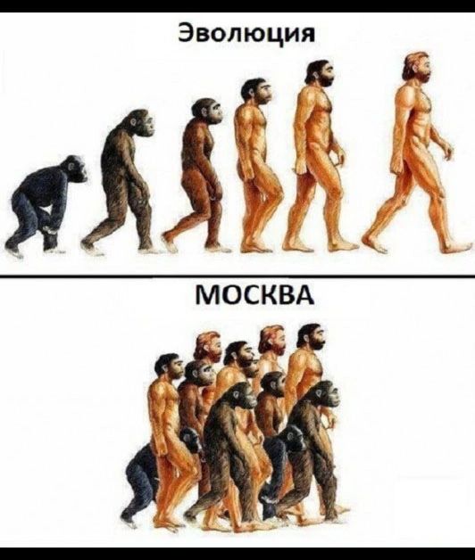 Эволюция ь 31 дк Ч г _М_0СКВА