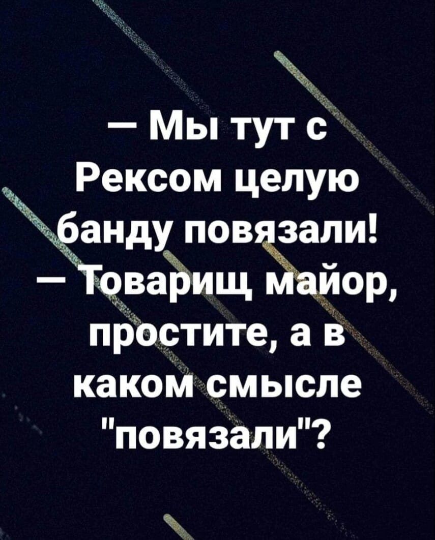 Мы тут с Рексом целую анду пов зали ЁТЧМЪищЫйор прЪстите а в каком смысле повязали