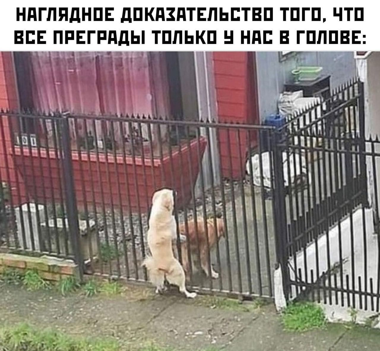 НПГЛПдНПЕ дПКПЗПТЕПЬЕТЕП ТПГП ЧТП ВСЕ ПРЕГРПдЫ ТППЬКП НПБ ГПППЕЕ