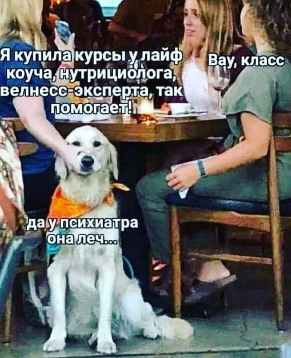 вы Якупипакурсы _лайф Гкоучан нутрици _ога н