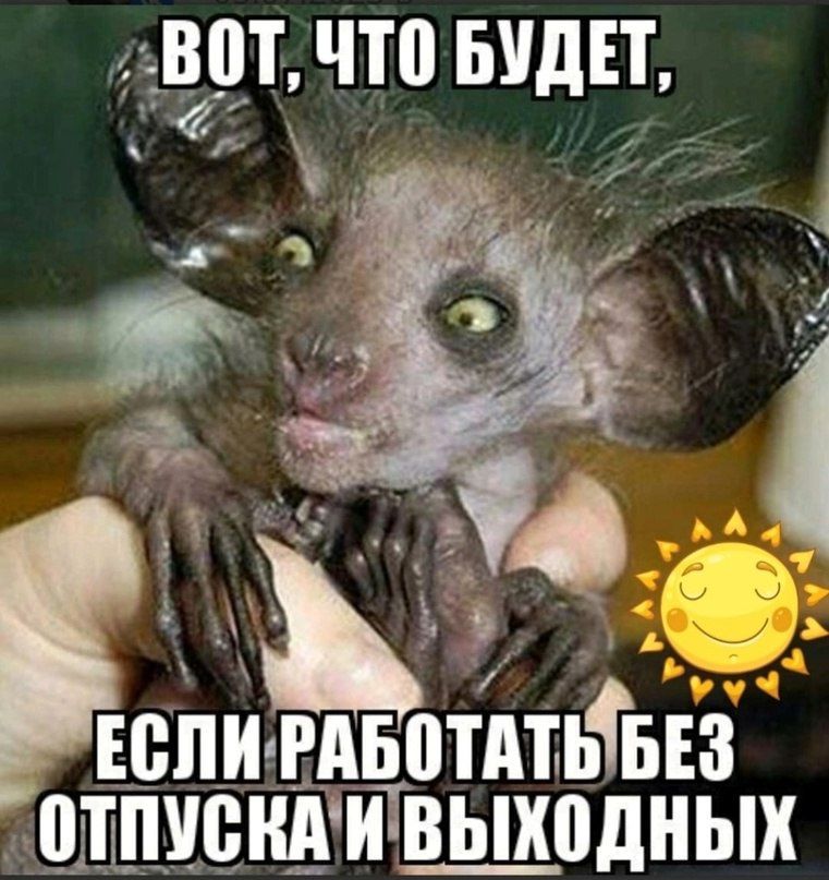 ВШ ЧП БУДЕТ БПИ гдвотАтьтыз ШАПУВНАИ В_ЬХ0дНЫХ