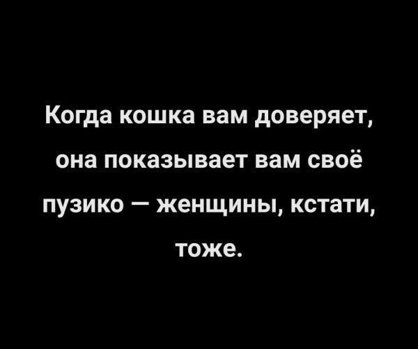 Когда кошка вам доверяет она показывает вам своё пузико женщины кстати ТОЖЕ