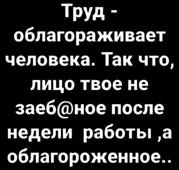 Труд облагораживает человека Так что лицо твое не 3аебное после недели работы а облагороженное