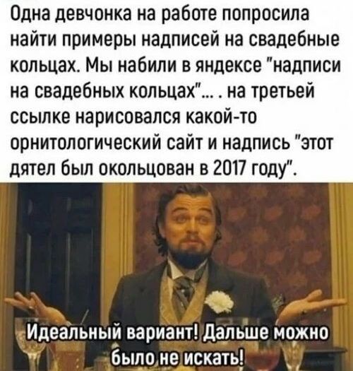 Одна девчонка на работе попросила найти примеры надписей на свадебные кольцах Мы набили в яндексе надписи на свадебных кольцах на третьей ссылке нарисовался какой то орнитологический сайт и надпись этот дятел бьш окольцован в 2017 году Идеальный вариант дальше нежно былонещскать