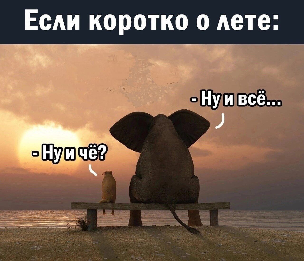Если коротко о лете