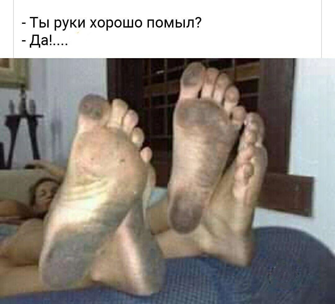 Ты руки хорошо помыл Да