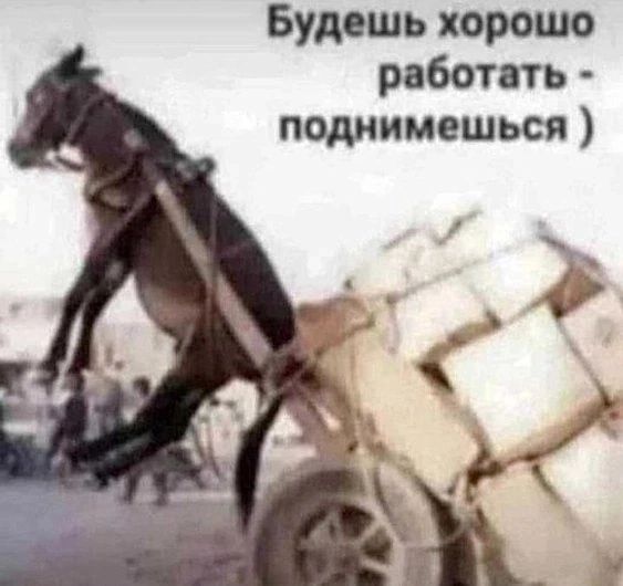 Будешь хорошо работать поднимешься
