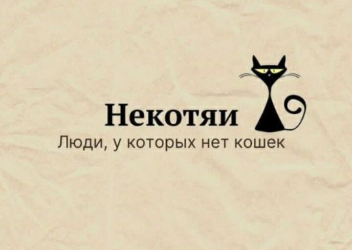 Некотяи Ъ Люди у которых нет кошек