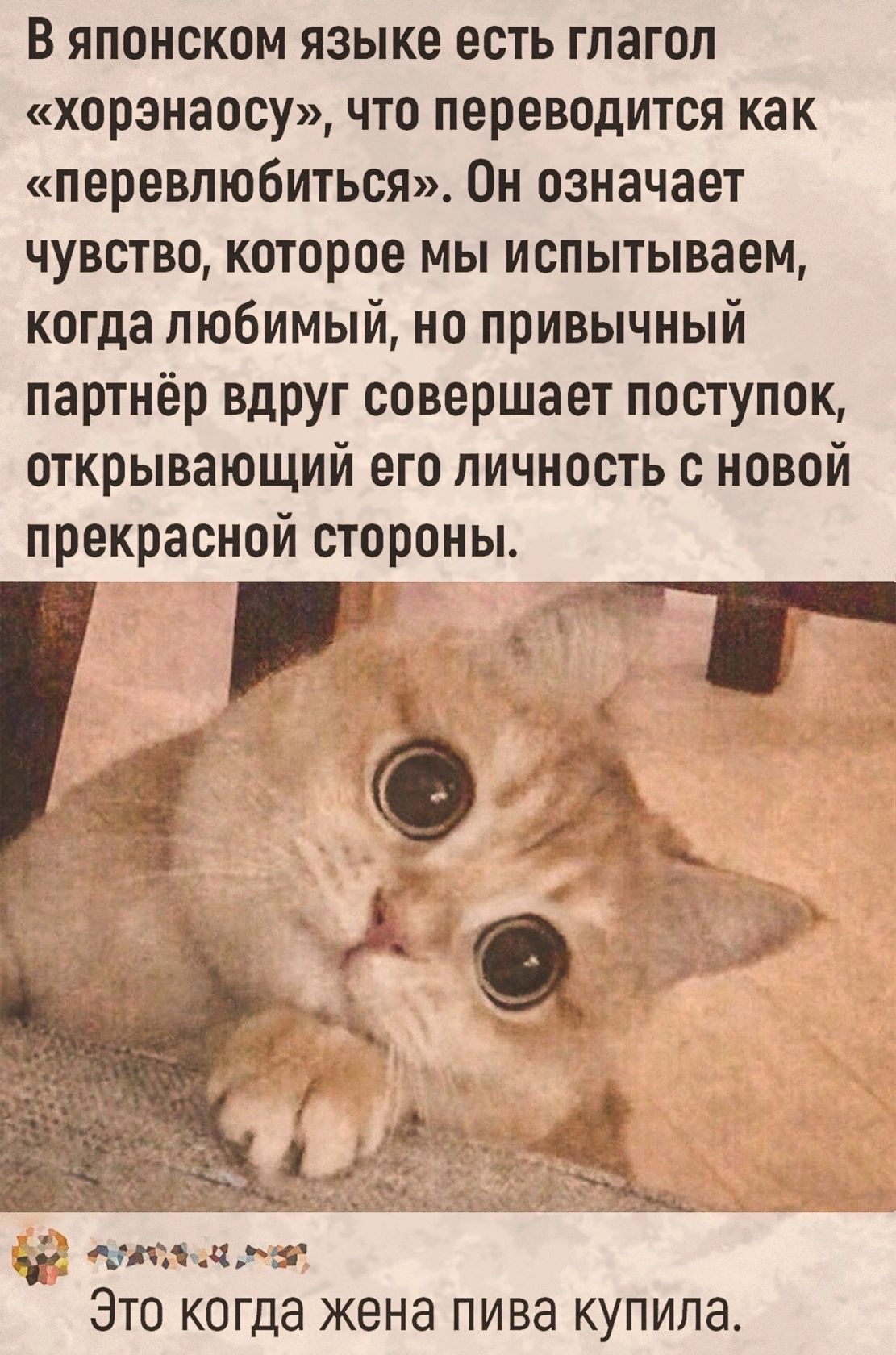 В японском языке есть глагол хорэнаосу что переводится как перевлюбиться Он означает чувство которое мы испытываем когда любимый но привычный партнёр вдруг совершает поступок открывающий его личность с новой прекрасной стороны ЭТО КОГДЭ жена ПИВЭ КУПИЛЭ