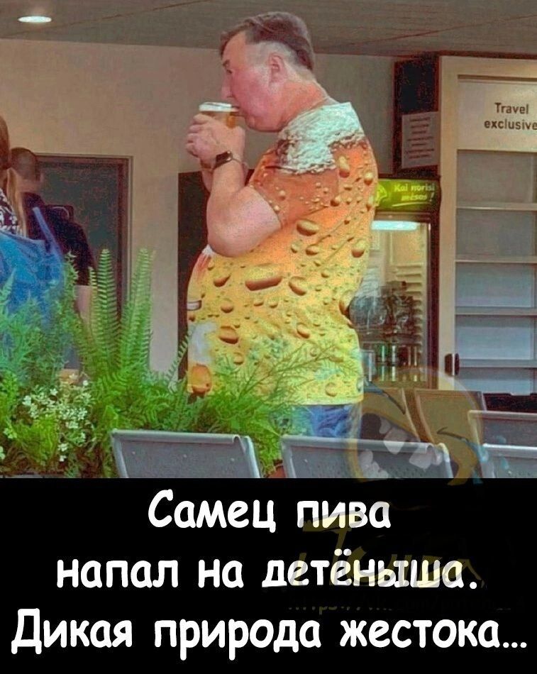 Самец пива напал на детёныша Дикая природа жестока
