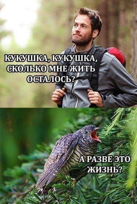 ПЕКОЛЬКО О СТАЛО