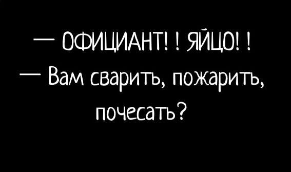 ОФИЦИАНТ ЯИЦО Вам сварить пожарить почесать