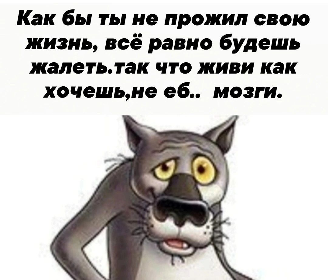 Как бы ты не прожил свою жизнь всё равно будешь жалеть так что живи как хочешьше аб мозги