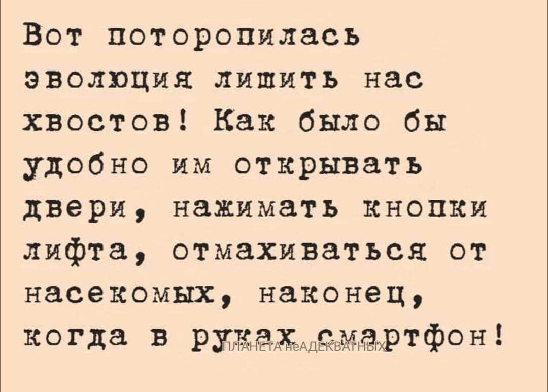 Вот поторопилась эволюция лишить нас хвостов Как было бы удобно им открывать двери нажимать кнопки лифта отмахиваться от насекомых наконец когда в рука рт фон