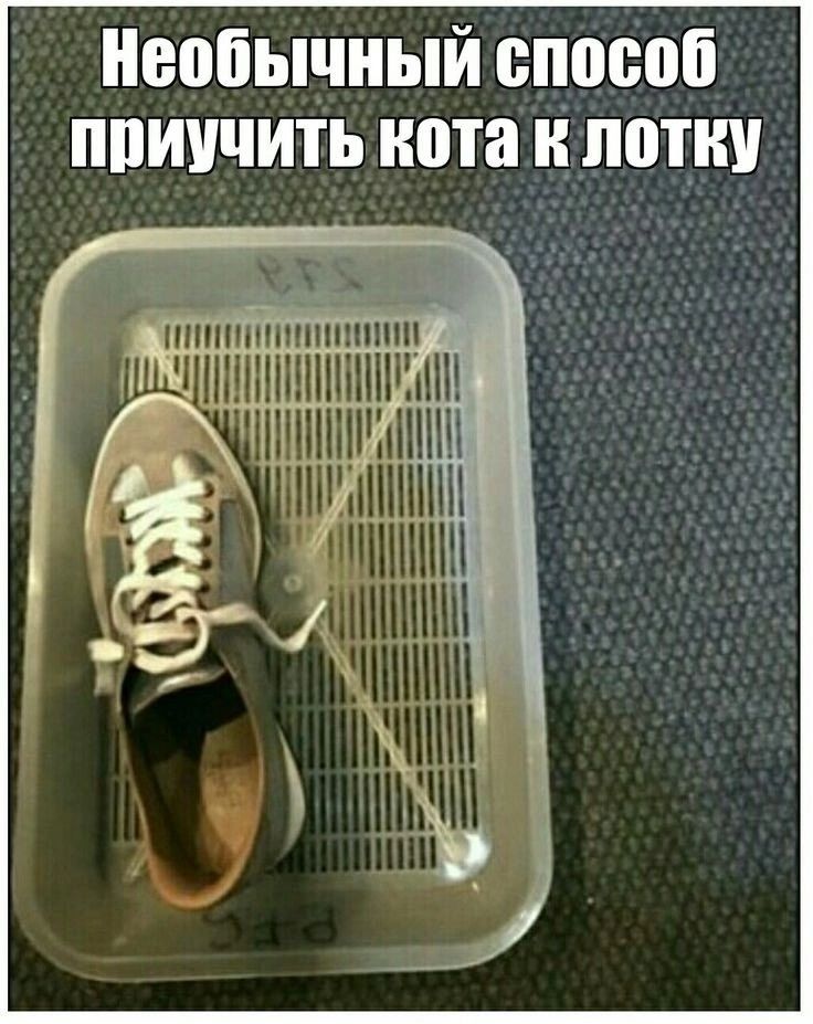 Необычный ШШШ ППИПЧИТЬ пота и ШП