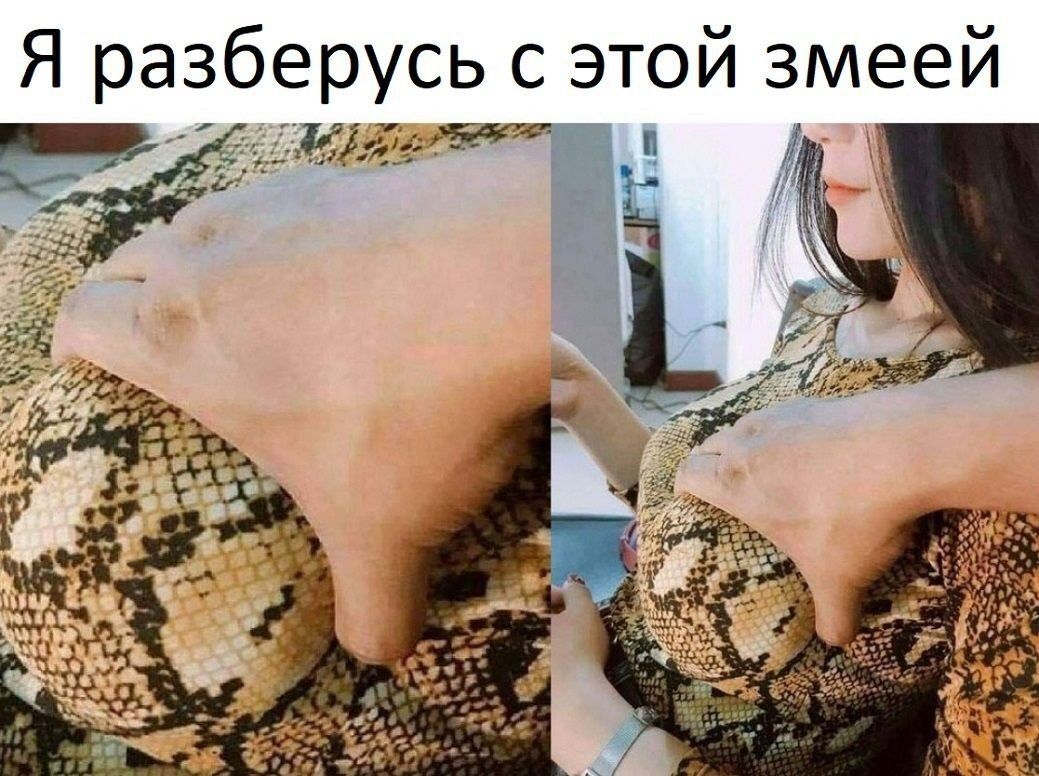 Я разберусь с этой змеей