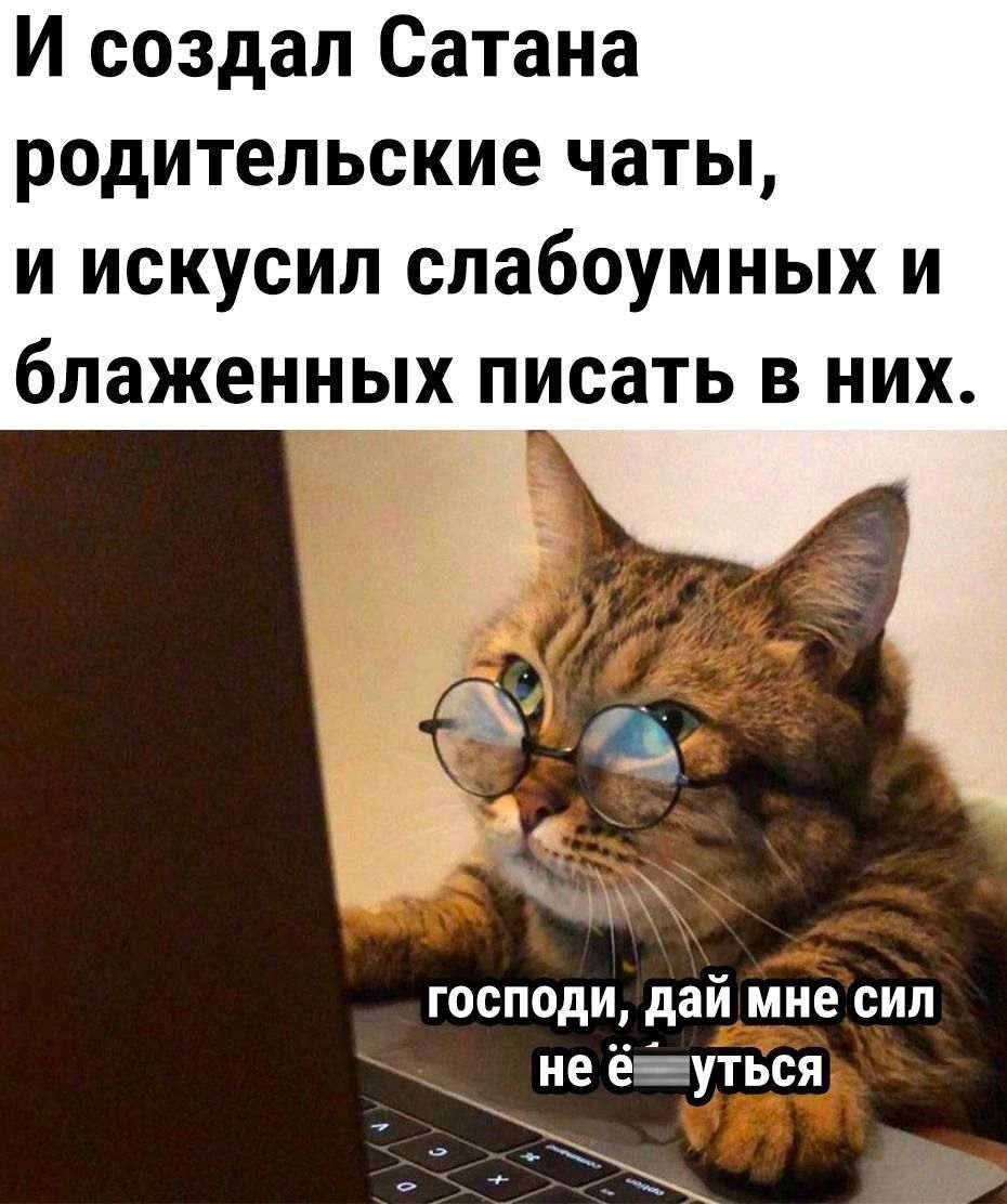 И создал Сатана родительские чаты И искусип слабоумных И блаженных писать В НИХ господи дай мне сил не Ёуться _