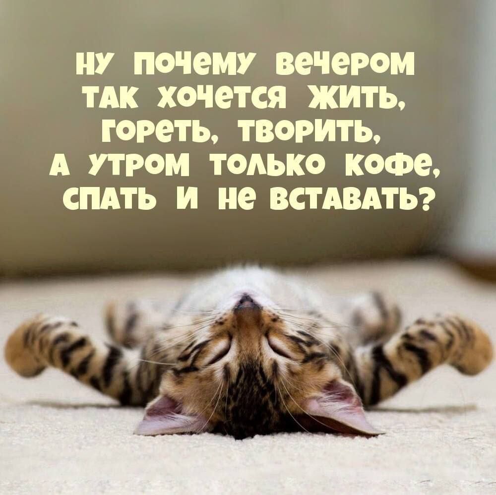 У С вечером ТАК ХОЮТСЯ ЖИТЬ ГОРЕТЪ ТВОРИПЪ А РСМ ТОАЬКО кофе СПАТЬ И не ВСТШТЬ