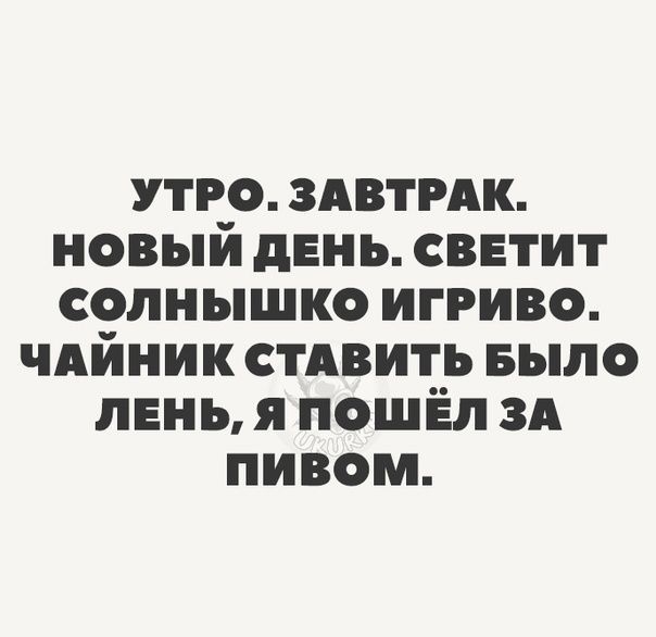 утро здвтмк новый день светит солнышко игриво чдйник стлвить Было лень я пошёл зд пивом