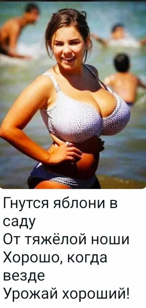 Гнутся яблони в СЭДУ От тяжёлой ноши Хорошо когда везде Урожай хороший