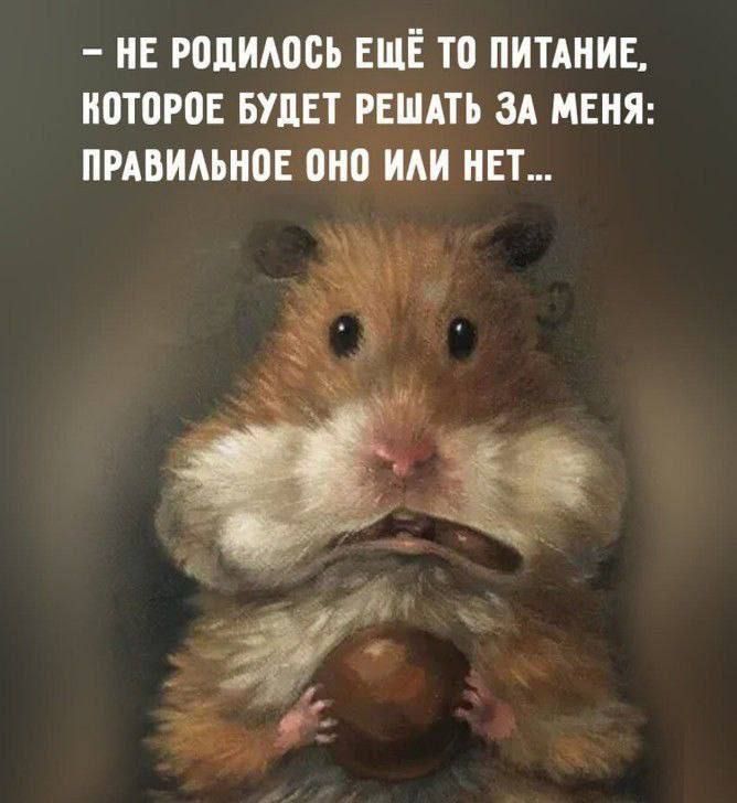 Е РПДИШБЪ ЕЩЕ то ПИТАНИЕ ПОТОРВЕ БУДЕТ РЕШАТЬ ЗА МЕНЯ ПРАБИАМШЕ ШШИАИ ЕТ