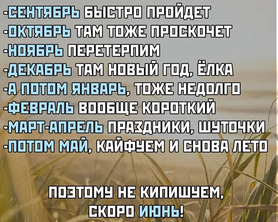 ШВТШЧКИ Щпвтп _ 1 _