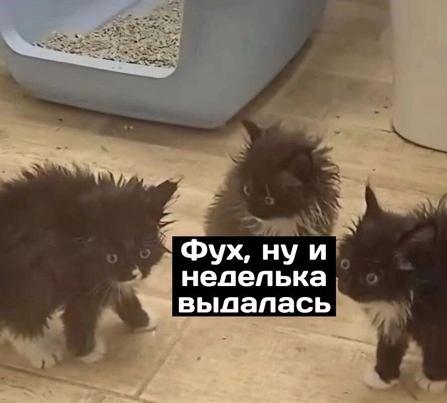 Фух ну и недельке выдалась