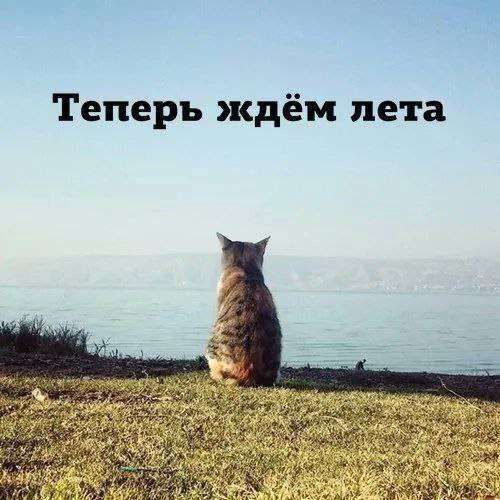 Теперь ждём пета