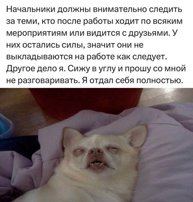 Начальники допжны внимательно следить за теми кто после работы ходит по всяким мероприятиям ипи видится с друзьями У них остались силы значит они не выкладываются на работе как следует другое дело Сижу в углу и прошу со мной не разговаривать Я отдал себя полностью
